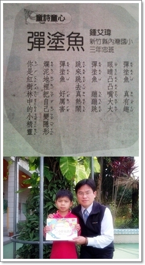 「彈塗魚」內文(圖上)
校長頒「國語日報小作家證書」(圖下)